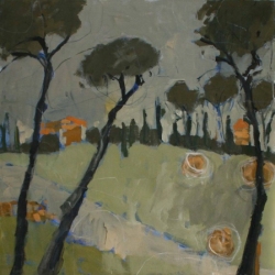Haymaking Under The Umbrella Pines